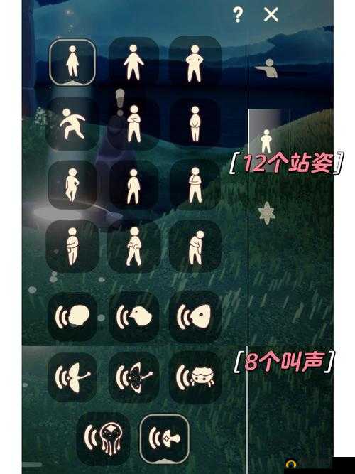 光遇抛球动作解析：一级到四级的区别