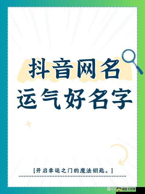 17c黑料不打烊官网：探索无限精彩的网络世界