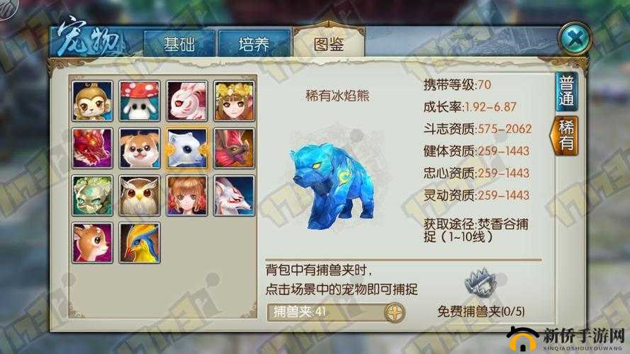 梦幻诛仙手游，全面深度解析熊滚滚宠物及其详细属性一览
