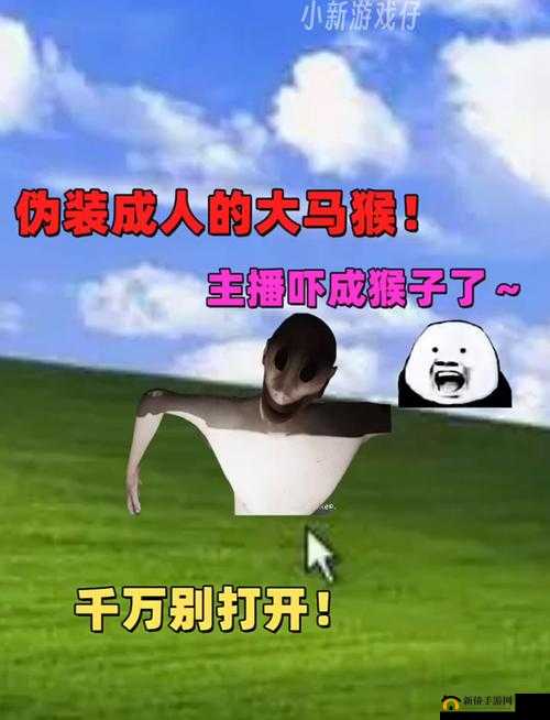 两人造猴子的视频：一段奇特的创作历程