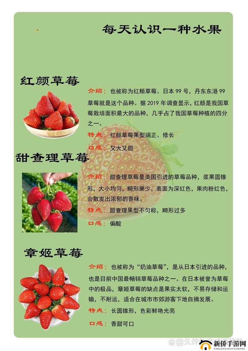 精产国品一二三产区草莓品质出众