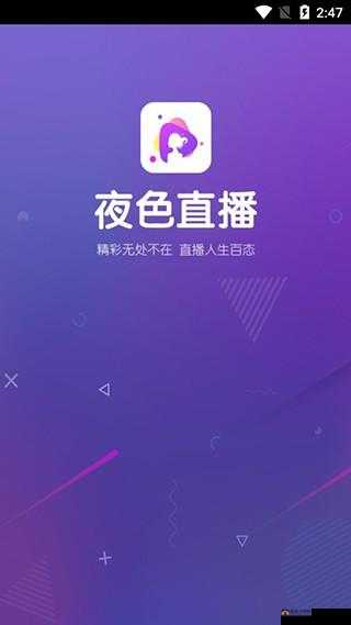 适合晚上看的 APP 下载直播：满足你夜晚娱乐需求的必备选择
