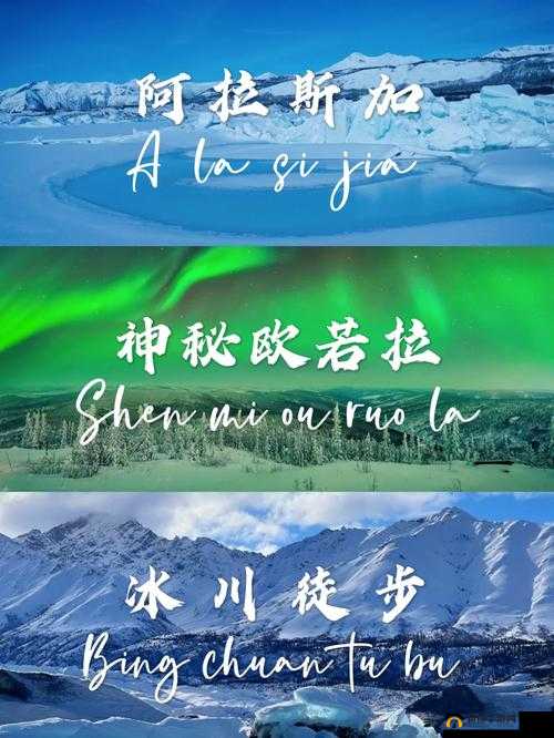 三叶草 m 欧洲码 天堂 ：探寻神秘与美好的奇妙之旅