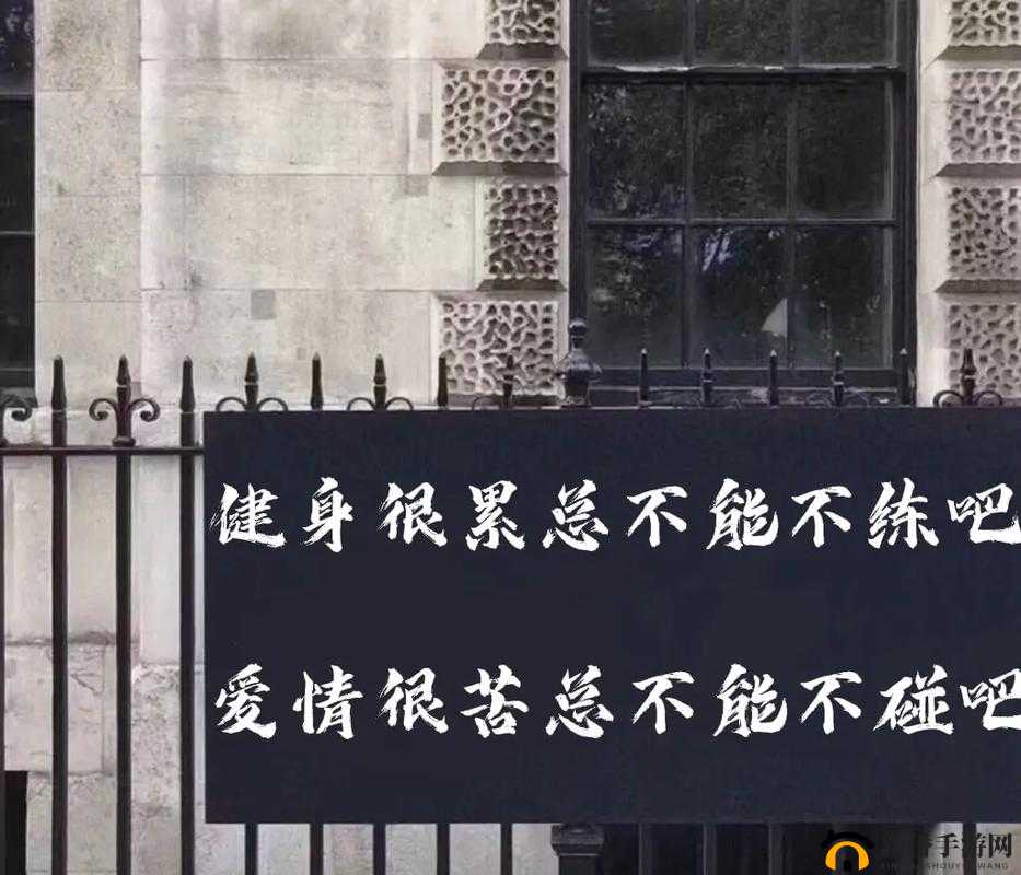 健身房里的激战 2 最火的一句：燃烧激情挑战极限超越自我