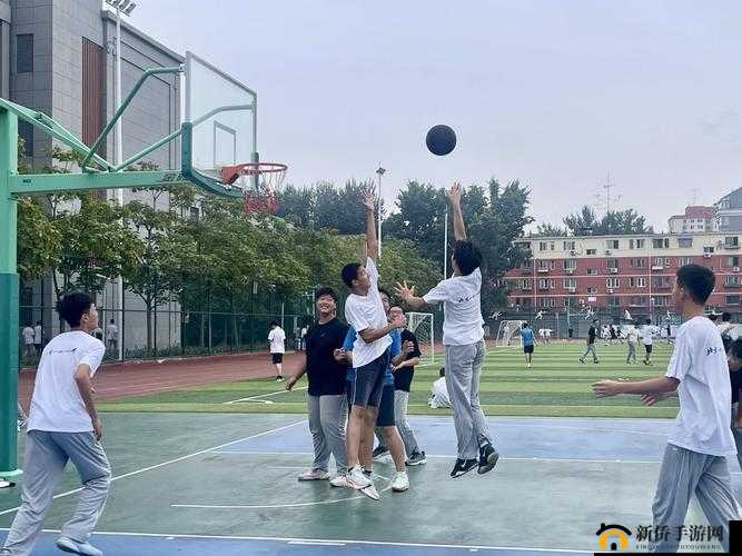 下课后体育器材室下种：探索学生课后体育活动新起点