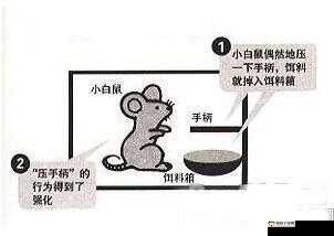 如何一根笔把自己玩哭：探索这种奇特行为背后的心理