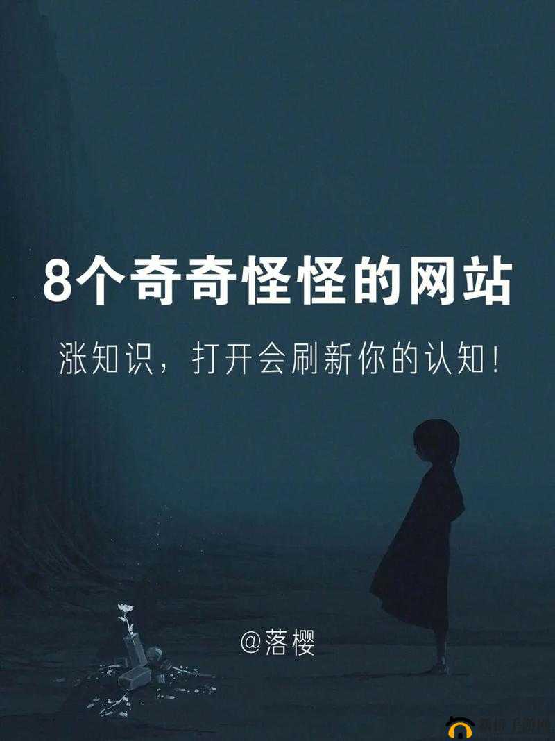 哔哩哔哩18免费进入：带你探索精彩视频世界的大门