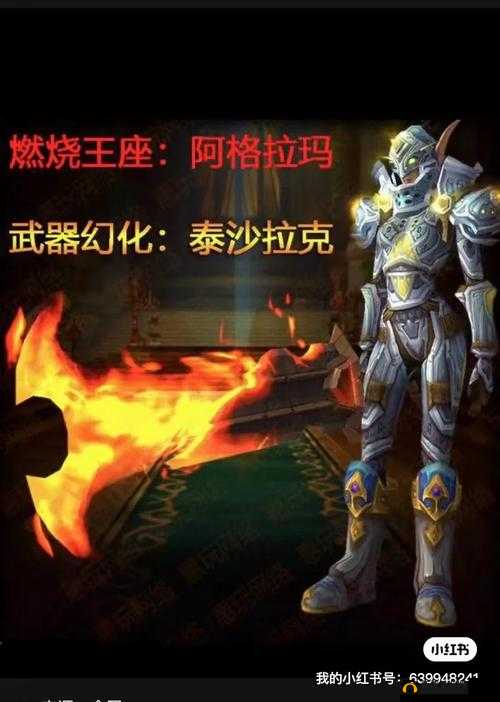 天使纪元手游深度解析，坐骑升阶与幻化系统全面说明