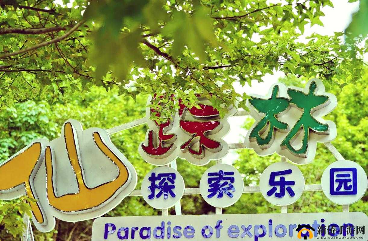 仙踪林视频网站欢迎您：探索神秘仙境，畅享视觉盛宴