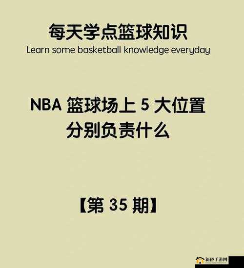 从关键词深入剖析，NBA的辉煌历程、未来挑战与篮球梦想的交织