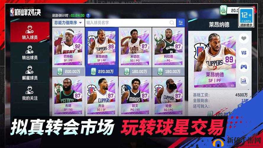 美职篮梦之队3深度解析，全面攻略球队资源的高效获取与策略使用
