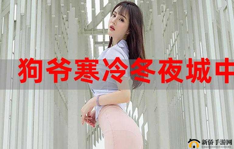 狗爷城中村国际在线观看：一部值得深入探讨的影片