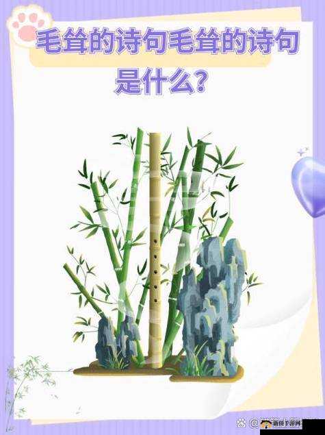 国产毛耸耸，真的有那么好吗？