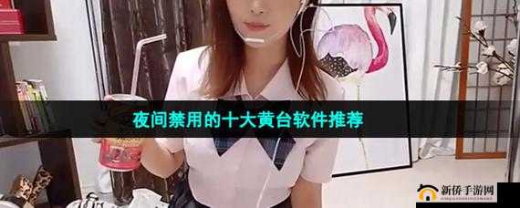 夜里 18 款禁用 B 站入 APP 软件：深入探究其禁用背后的原因