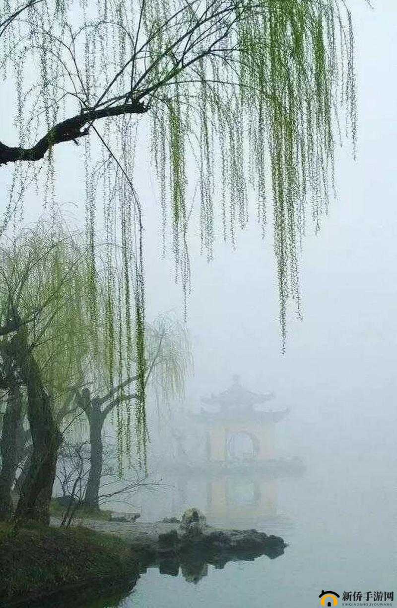 白玉河边双插柳枝发清河万万家：探寻柳枝背后的万家故事