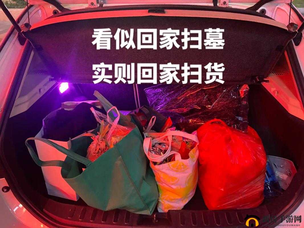 小扫货水能么多公交车：关于它的详细介绍与相关探讨