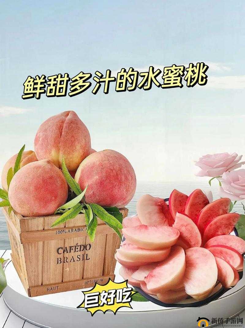 水蜜桃一三四专区：水果的甜蜜世界