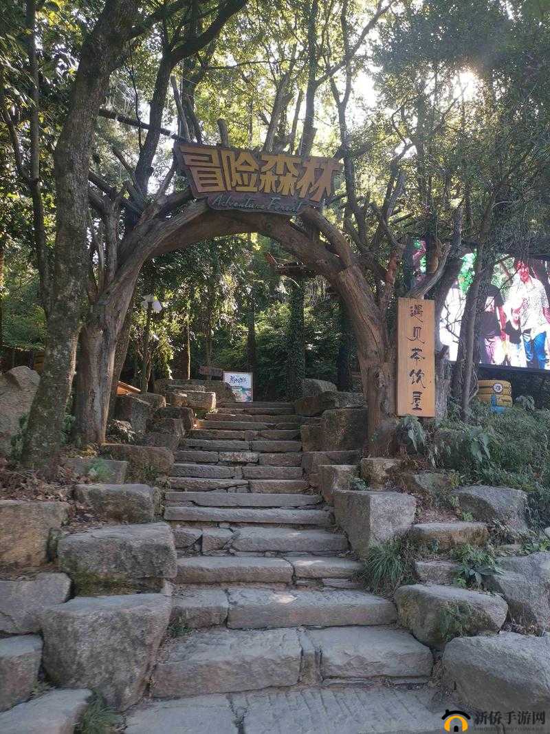 榆树老人的神秘交易：森林中的奇幻冒险