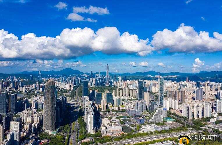 山东和天天综合网：地域特色与综合信息的交汇