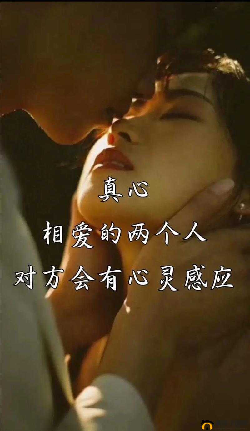 两个人的世界究竟在哪看：探寻独特的心灵栖息地