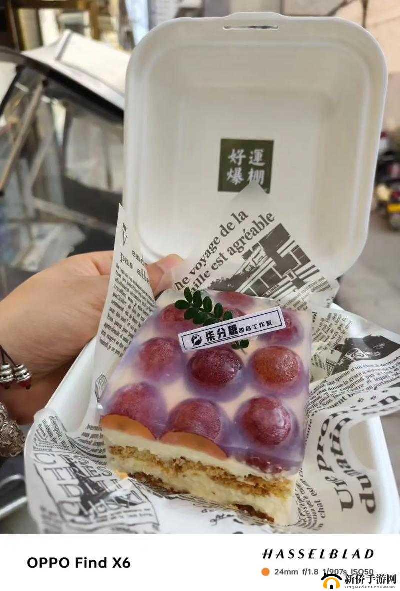 提拉米苏，一场唤醒味蕾、探索浪漫风味的奇妙美食之旅