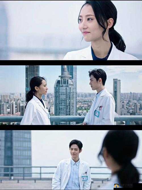 成全视频大全高清全集：畅享海量精彩影视资源