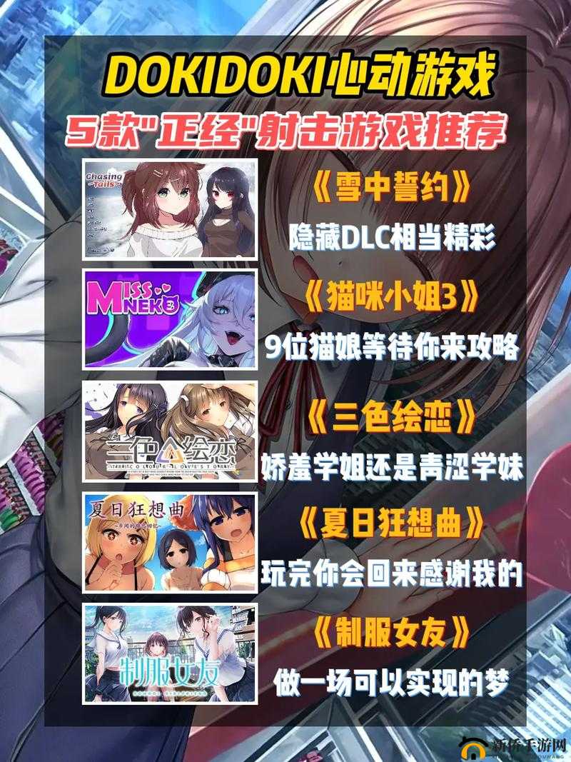 成人电脑单机游戏推荐及详细玩法介绍