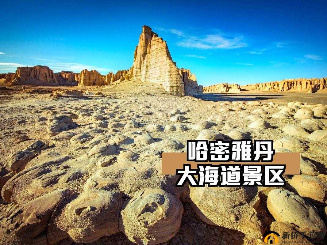 亚洲无人区码一码二码三码区别：探索神秘无人之地的关键