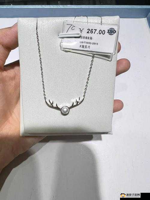 一品堂 s925 纯银项链：璀璨闪耀，时尚必备