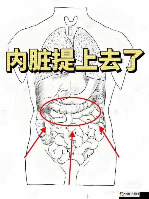 小肚子灌得鼓鼓的即将进入内测啦：充满期待与未知的内测之旅