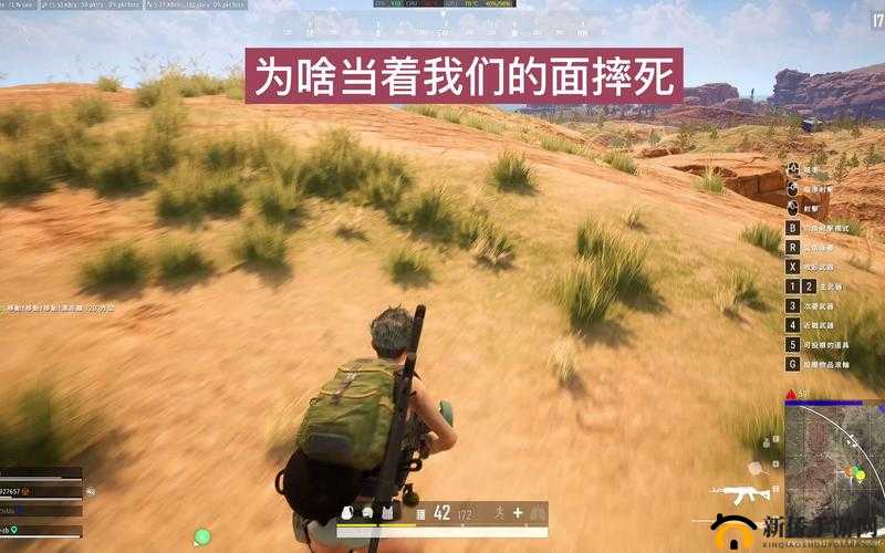 丛林法则绝地大逃杀深度攻略，策略布局与高效金币获取技巧全解析