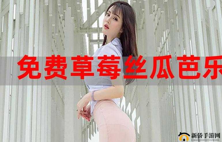 丝瓜草莓樱桃向日葵奶茶：美味集合与独特体验