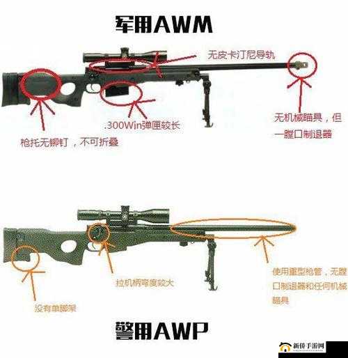 日本 csgo 大姐姐 awp 多少钱黄：关于其的详细介绍与分析