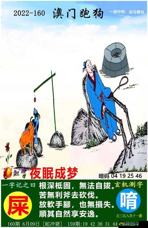 澳门最快开奖记录今天开的什么：探寻开奖背后的秘密与意义
