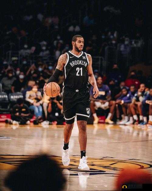 NBA传奇大前锋拉马库斯·阿尔德里奇，从默默无闻到辉煌之路的奋斗历程