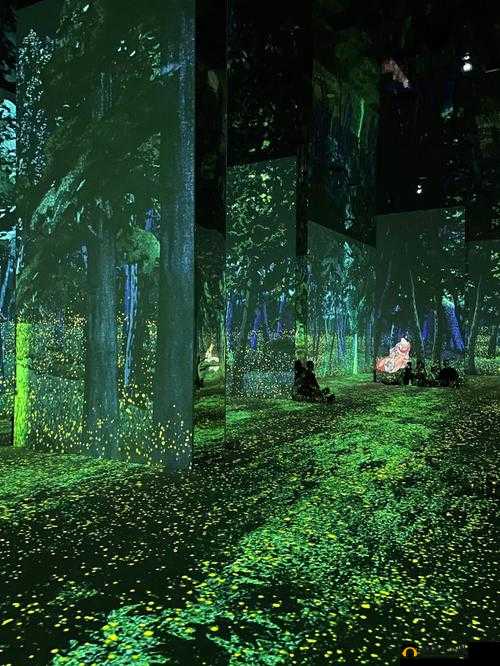 晚上看的精彩节目：让人沉浸其中的视觉盛宴