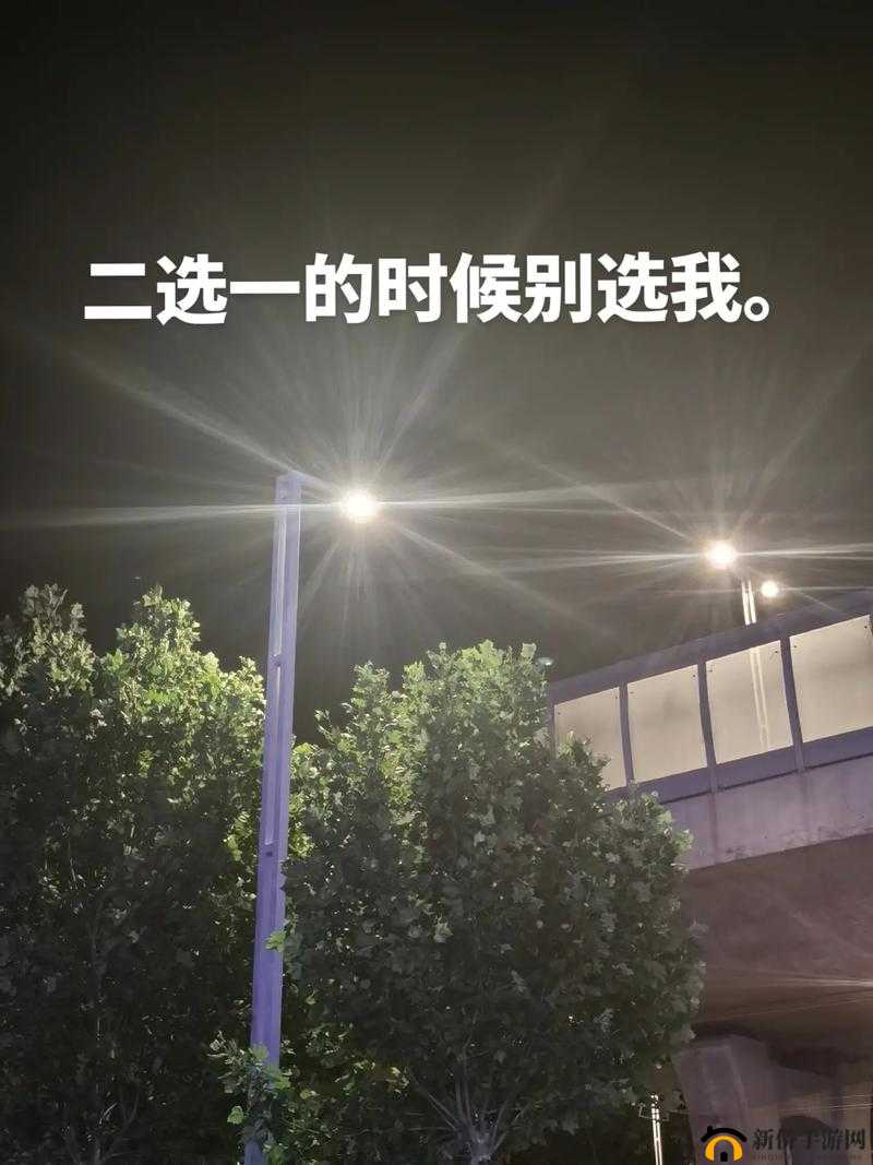 选我还是选它 1v1：一场关乎选择的终极对决