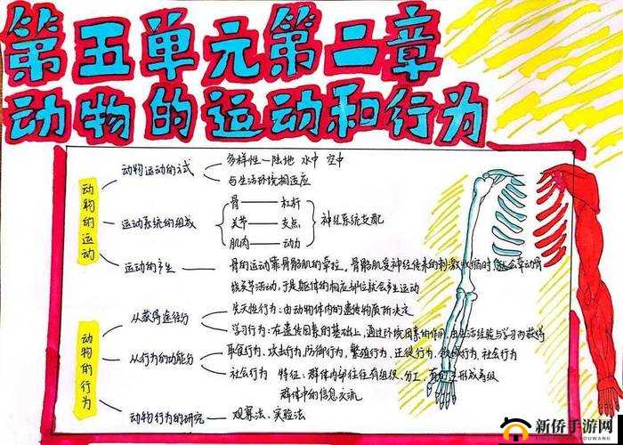 RNA 与 cDNA 杂交：从基础研究到应用的探索