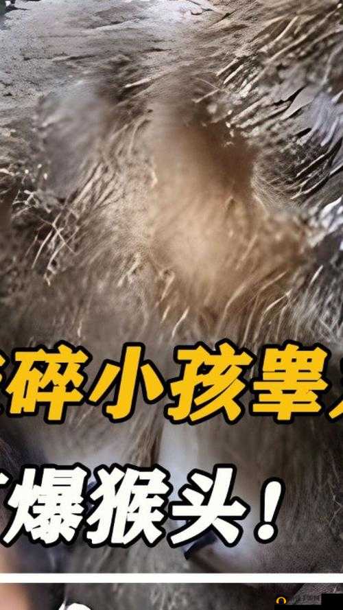 小孩半夜被女孩吃睾丸这种情况正常吗
