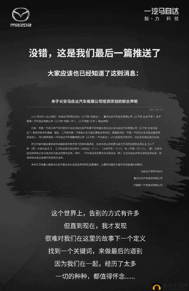 人与 ZOOM 日本人的那些事：探寻背后的故事