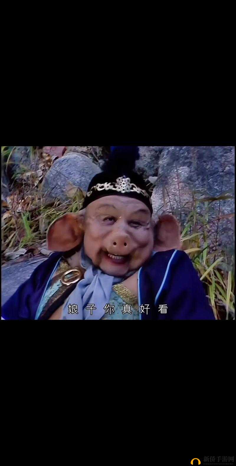 八戒八戒电视剧免费观看：精彩剧情不容错过