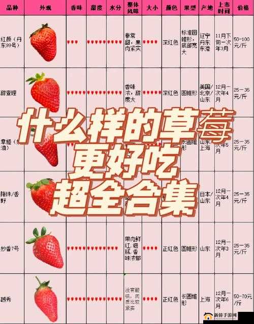 蜜丝婷大草莓和小草莓对比最新通道来了：深度解析与全面评测