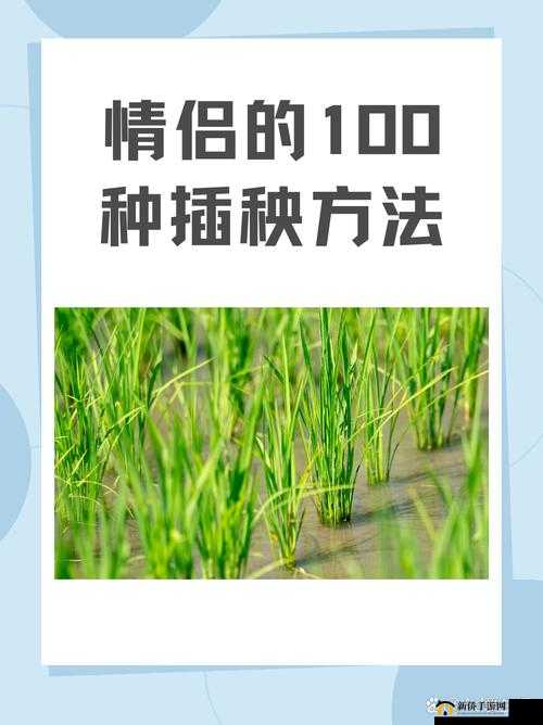 24 种男女插秧法：探索独特农耕技艺与劳动协作方式
