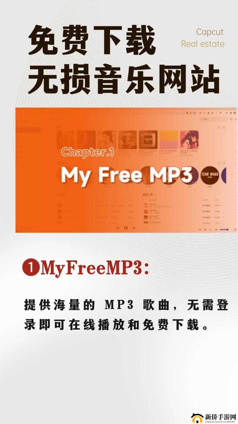 网站大全免费入口：畅享海量优质资源的便捷通道
