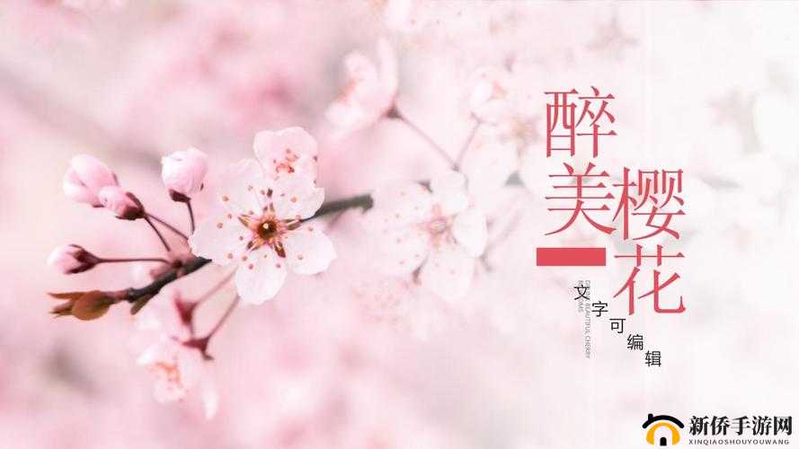 樱花社区 PPT 模板免费下载：海量精美模板等你来选