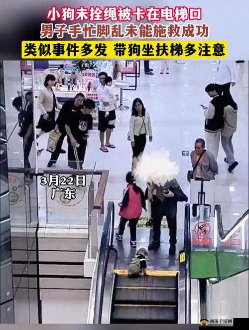 男子与爱犬被卡 6 小时，救援人员紧急施救