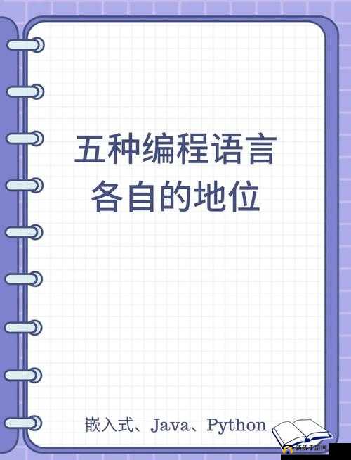 口舌添泬VK ：带你领略独特的语言魅力之旅