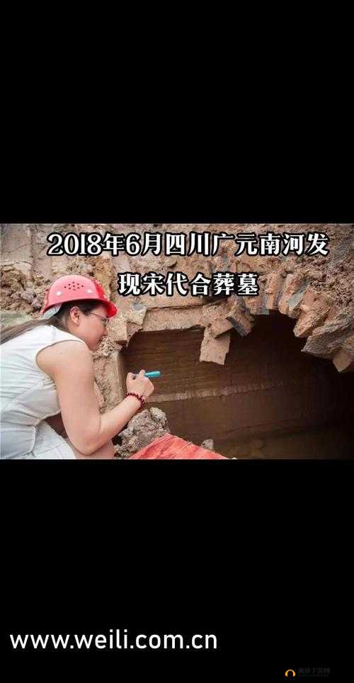 日产精品一线二线三线芒果透露：中文社区开放信息