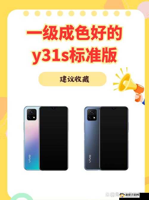 成色好的 y31 标准：优质产品的典范