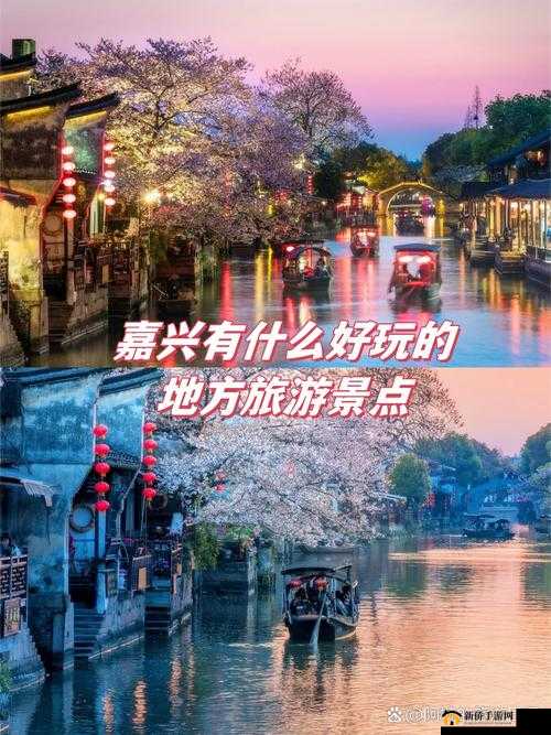 搞机恶timedownload不用不收钱嘉兴：带你领略独特的体验之旅